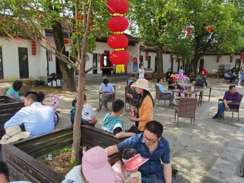 羅田假日旅游 產(chǎn)品豐富多樣，服務文明有序